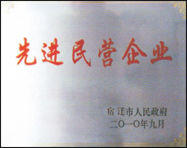 先進(jìn)民營(yíng)企業(yè)